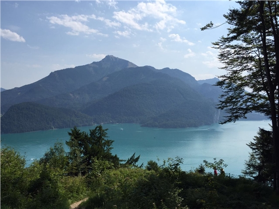 余教授奧地利鄉村行：萬(wàn)科為什么說(shuō)把奧地利小鎮搬回來(lái)？