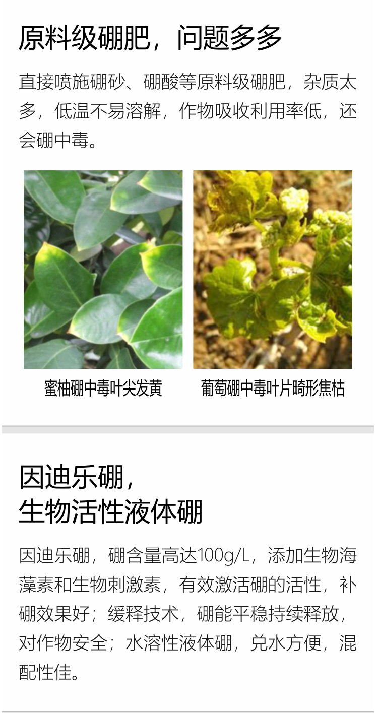 海藻硼_03.jpg