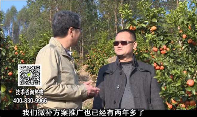 20180122珠江臺搖錢(qián)樹(shù)：廣西柑橘如何管？產(chǎn)量賣(mài)相好?