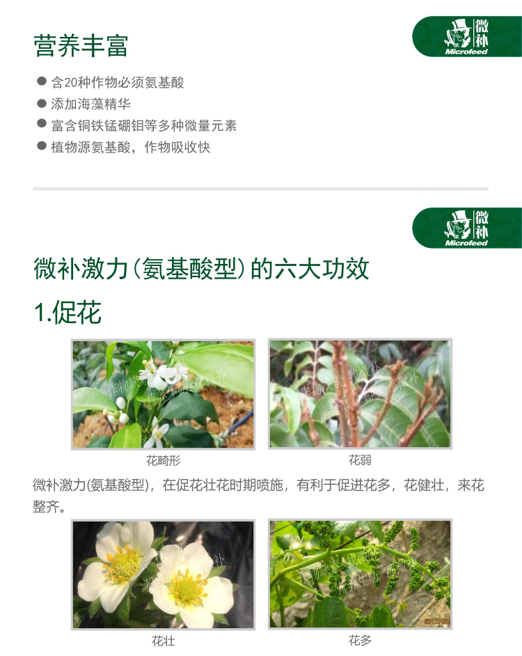 微補激力氨基酸型