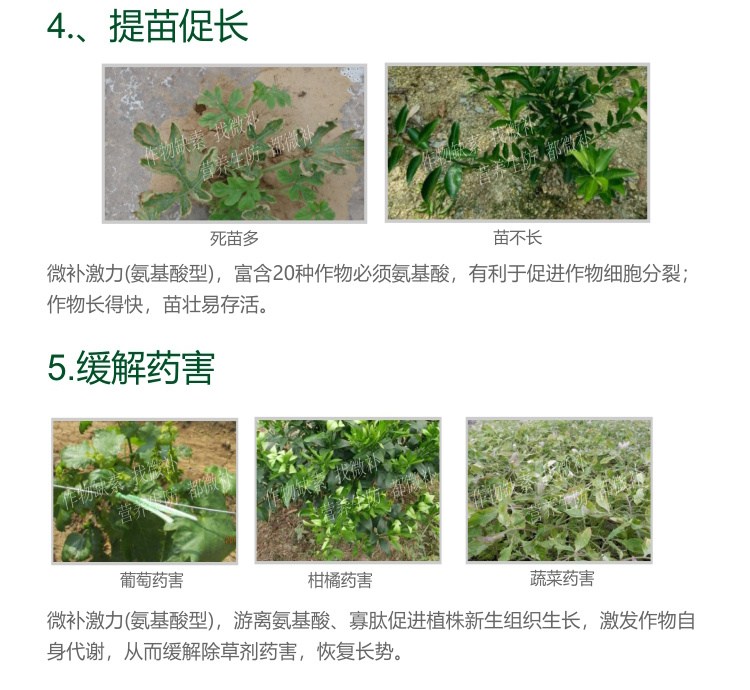 微補激力氨基酸型