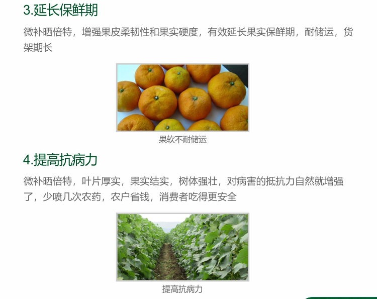 微補(bǔ)曬倍特