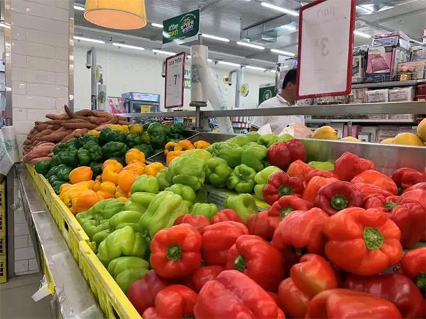 深度思考：我們到底應(yīng)該向以色列農(nóng)業(yè)學(xué)習(xí)什么？