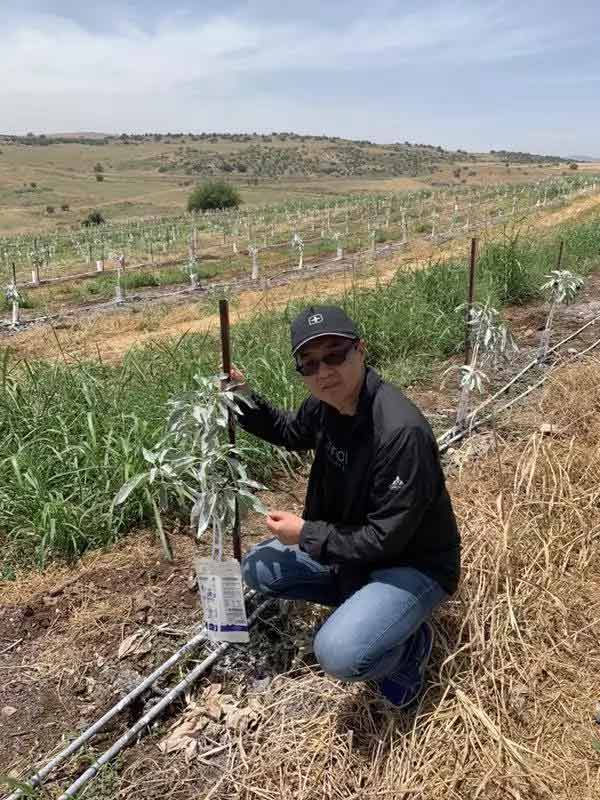 深度思考：我們到底應(yīng)該向以色列農(nóng)業(yè)學(xué)習(xí)什么？