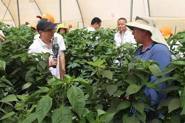 深度思考：我們到底應(yīng)該向以色列農(nóng)業(yè)學(xué)習(xí)什么？