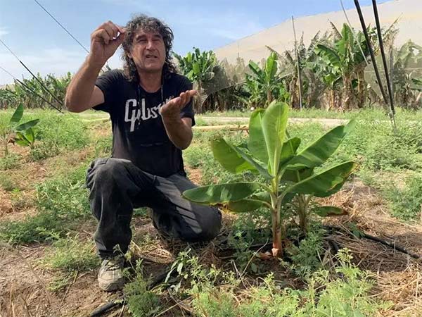 深度思考：我們到底應(yīng)該向以色列農(nóng)業(yè)學(xué)習(xí)什么？